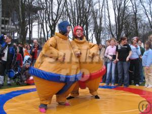 1-SUMO WRESTLING / KANGAROO BOXING / SUMO RINGEN