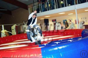 2-BULL RIDING / BULLEN REITEN / RODEO BULLE