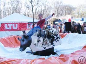 BULL RIDING / BULLEN REITEN / RODEO BULLE