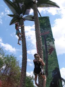 1-COCONUT CLIMBING / PALMENKLETTERN