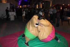 2-sumo ringen
