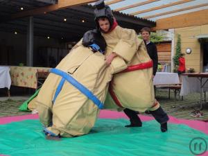 3-sumo ringen