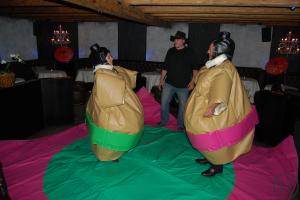 1-sumo ringen