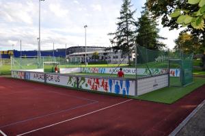 1-Kunstrasen-Minipitch "MultiARENA" Kleinspielfeld inkl. Kunstrasen mieten